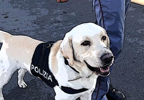 cinofili cane antiesplosivo